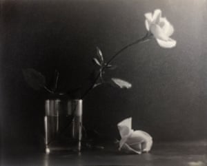 Taizo Kato, Glass with Two White Roses, circa 1920Kato’s picture evokes the elegant simplicity of a still life by the French painter Jean-Baptiste Chardin, both in the way that light glints off the side of the glass as well as the exquisite balance that’s achieved with just a handful of objects.