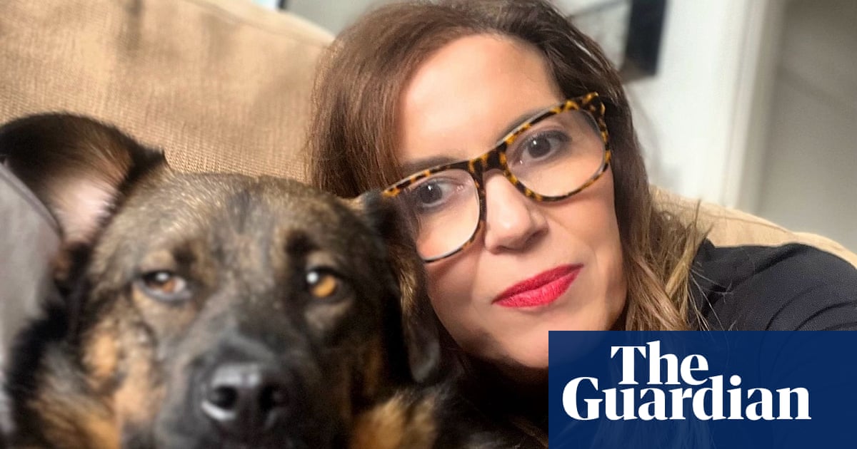 I think I'm about to die, then I see a white flash and Henry is on the bear's back': the hero dogs who save lives