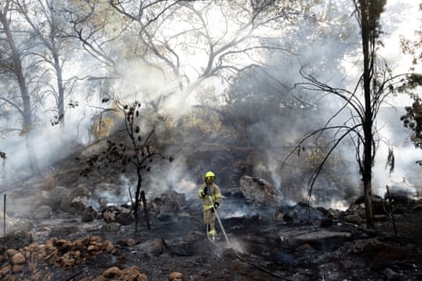 A firefighter sprays water on a extinguished forest fire
