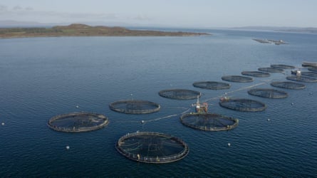 Salmon farms on the east side of the Isle of Gigha.