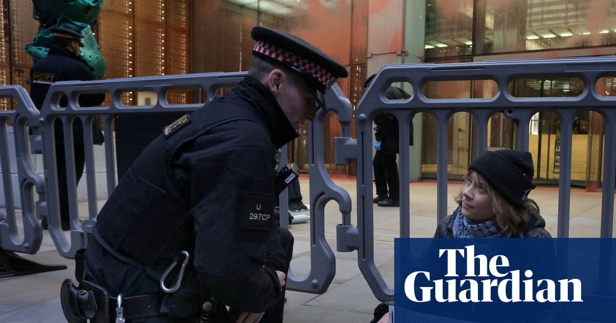 Greta Thunberg, Sally Rooney and Brian Eno defy Palestine Action ban in letter to judges