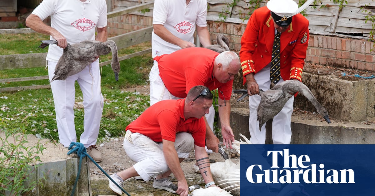 Bastille Day and a swan census: Monday's photos of the day