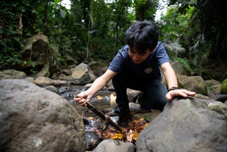 A man resting between two rocks on the ground and looking for insects with the help of a small stick