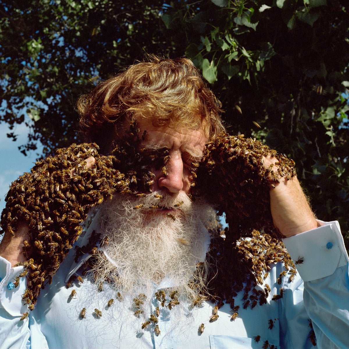 Holly Lynton’s Best Photograph Shows a Bare‑Handed Beekeeper