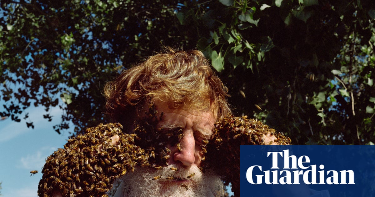 ‘Les the bare-handed beekeeper asked if he should put them on his face. I said: Sure!’ Holly Lynton’s best photograph