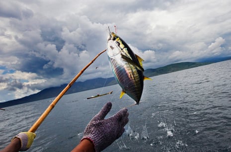 One fish at a time': Indonesia lands remarkable victory, Fishing industry