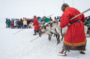 Participants from Nenets Autonomous Okrug are seen during a reindeer race on the Reindeer Herders Day