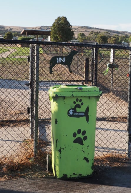 can you put dog poop in green bin