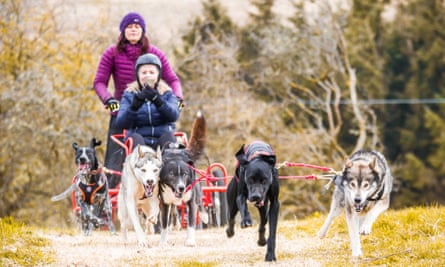 A team of dogs take two riders on a dog-sled ride in the Cotswolds