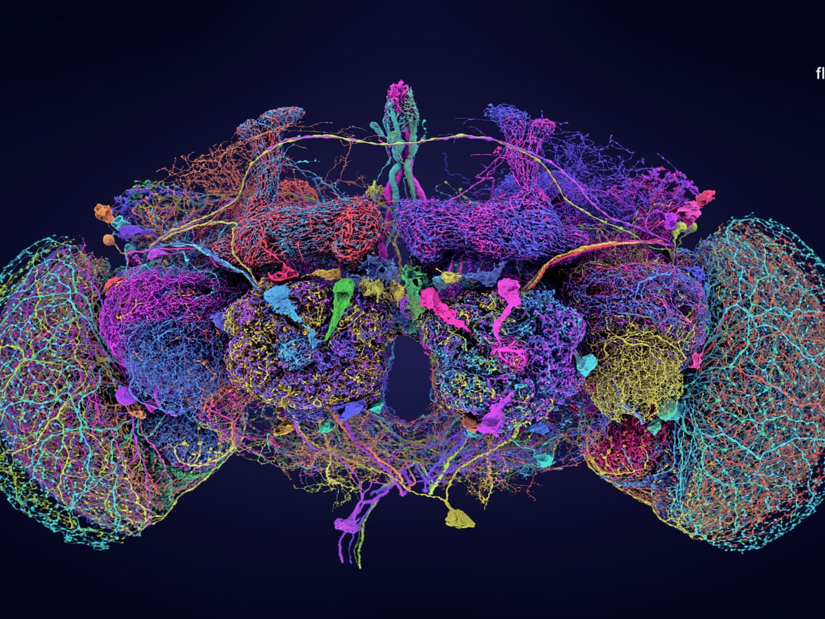 அறிவியல் பேசுவோம்! - இந்த வார முக்கிய அறிவியல் செய்திகளின் சுருக்கம் - 4.10.24 Book Day - Science News - Latest NEWS - https://bookday.in/