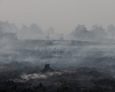 Smoke rising from a charred landscape in the aftermath of a wildfire in the Hautes Fagnes (High Fens) nature reserve, in Waimes, Belgium.