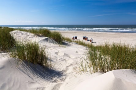 Sand dunes with grasses growing in them on a white sand beach