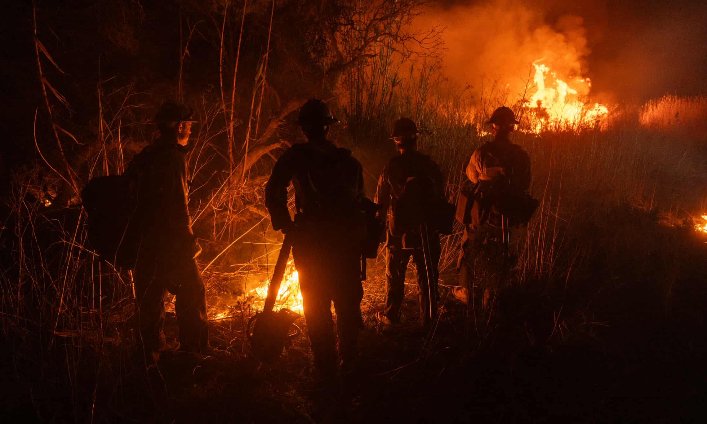 CA death toll reaches 25