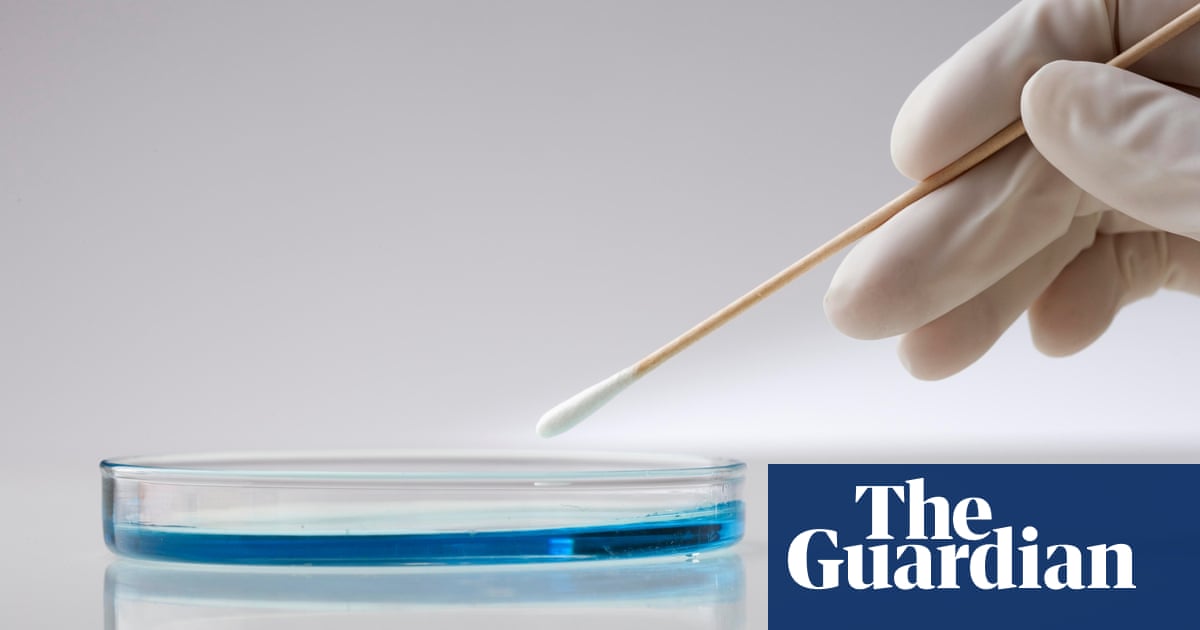 Bacteria transferred during intercourse could help identify sexual assault perpetrators, scientists say | Science Bacteria transferred during intercourse could help identify sexual assault perpetrators, scientists say | Science