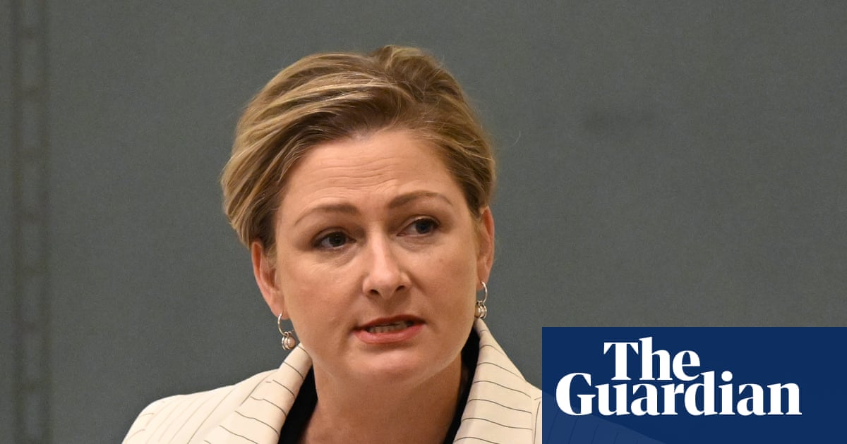 Embattled Queensland minister Amanda Camm quits Crisafulli frontbench citing health and safety reasons