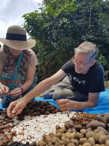 The reforestation project involved planting more than 30 varieties of seed.