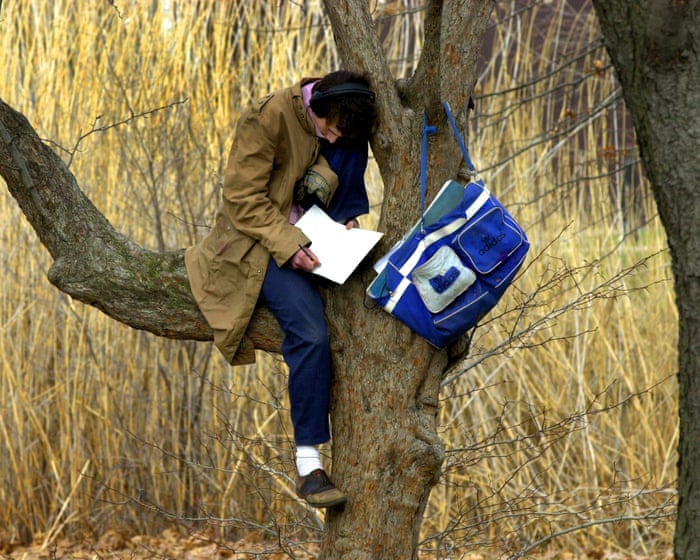 ‘I want to be ripped to shreds’: writers flock to MFAs - but does it breed elitist literature? — image supplied by The Guardian US's feed