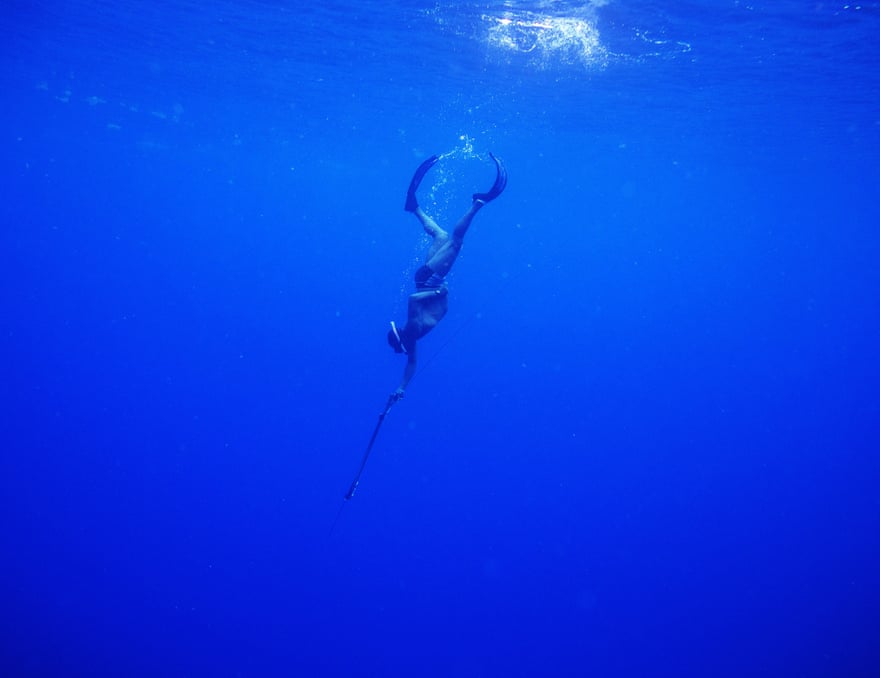 Fisherman turned Oracabessa Bay fish sanctuary warden and dive master, Ian Dawson, dives while spearfishing