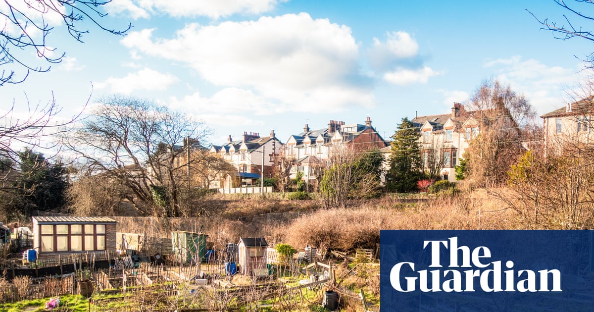 Allotments are a safe space in times of crisis | Letter