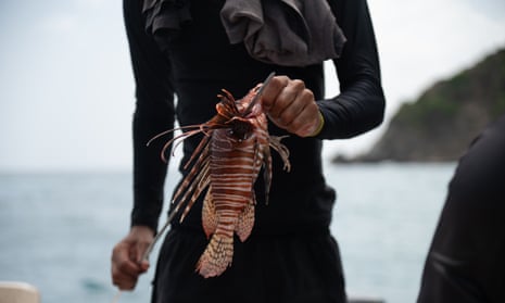 Closeup of a man in a wetsuit holding a lionfish in his fingertips