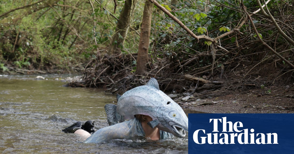 Country diary: Taking the plunge – and marrying a river | Anita Roy