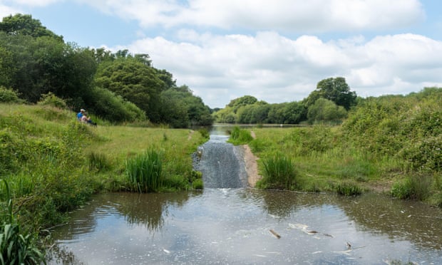 A view of the lake at Knepp Estate Wildland in West Sussex, England.