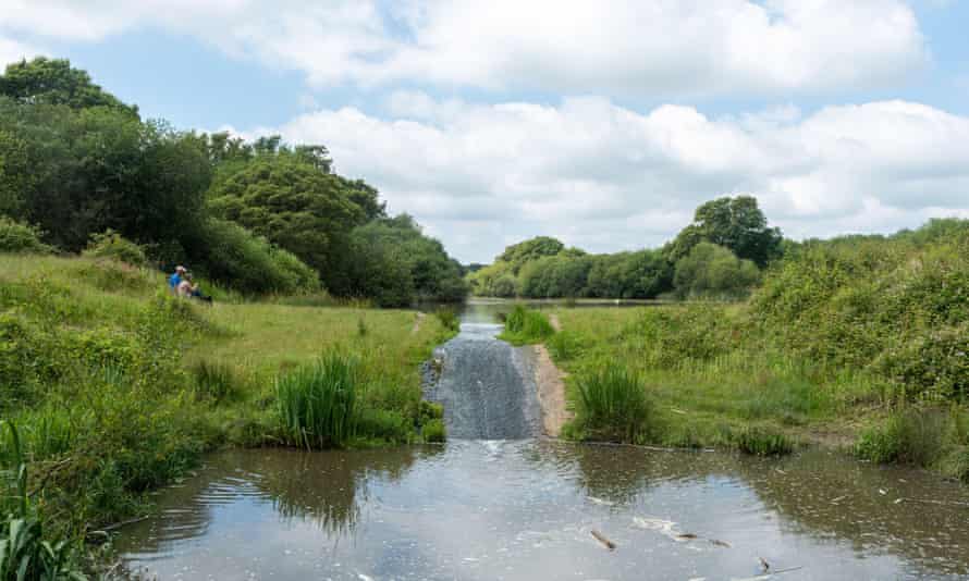 The lake at the Knepp estate