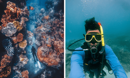 Closeup of reef, a scuba diver