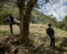 Drug gang attacks ‘force hundreds of Indigenous families to flee’ in Mexico | Ξένα νέα στο PlusTV.gr