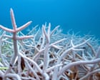 Worldβs seas heated by a record 23 zettajoules last year