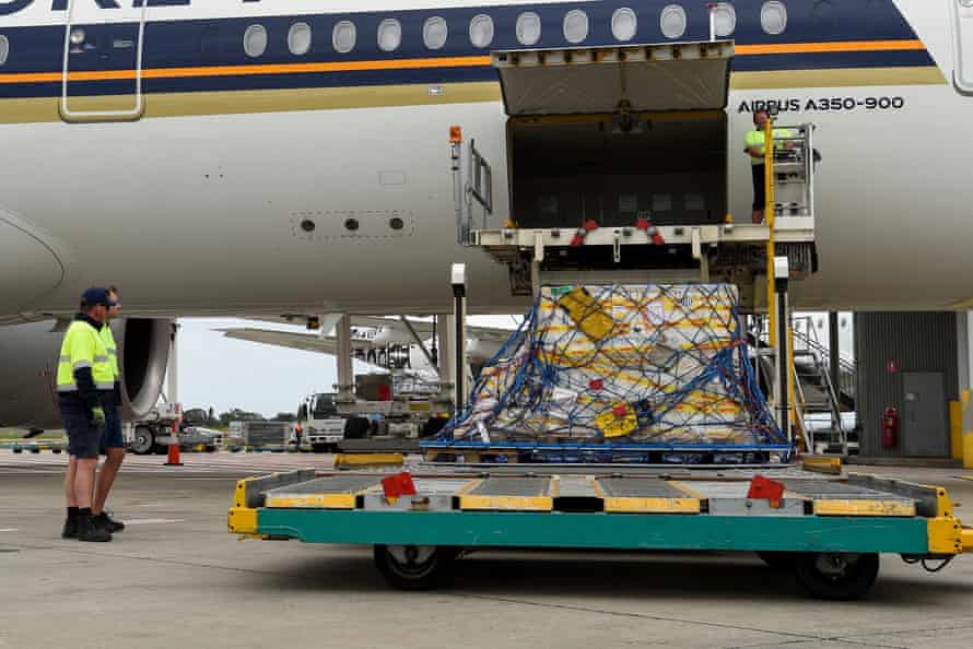 The first Australian shipment of Pfizer vaccines is unloaded from a Singapore Airlines plane at Sydney airport on Monday.