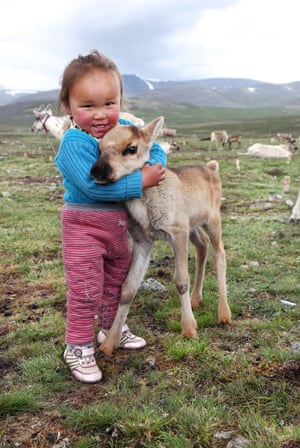 Tuvshinbayar cuddles a baby reindeer
