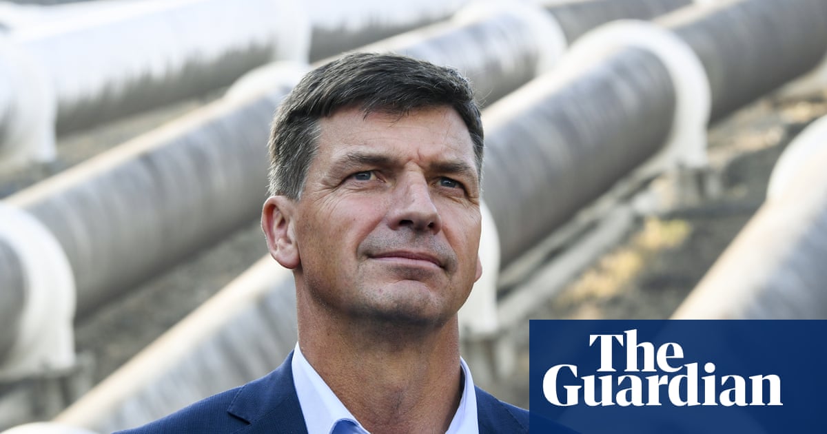 Cotton, water and Angus Taylor: how the minister's firm struggled to make farms pay - The Guardian