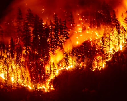 A wildfire burns through trees on Mount Underwood