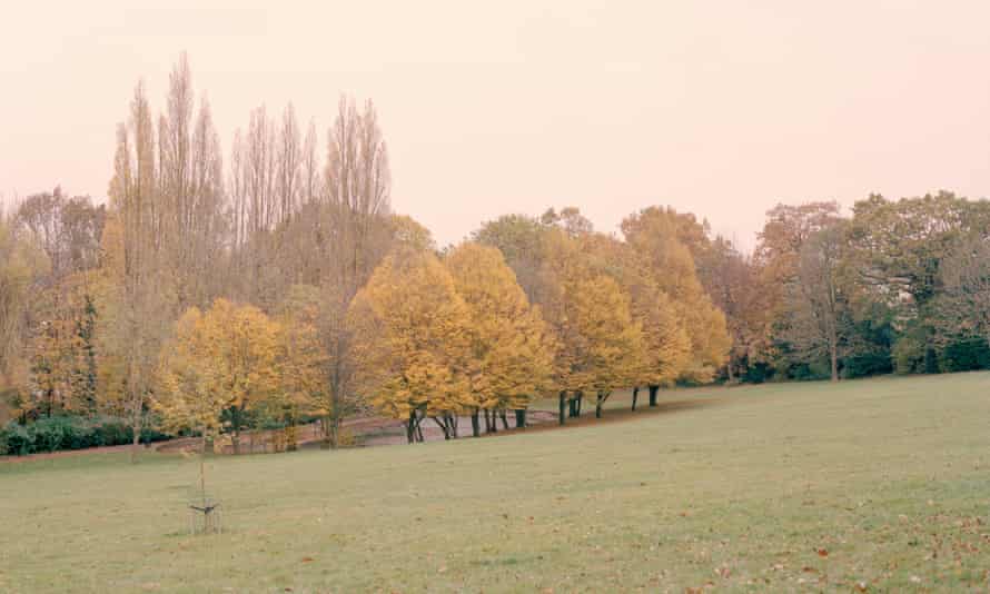 Horniman’s gardens
