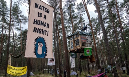A view of tree houses set up by activists near the Tesla Gigafactory.