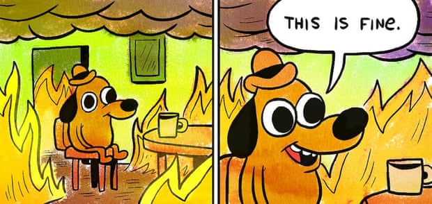 This is fine! 2020 is fine!
