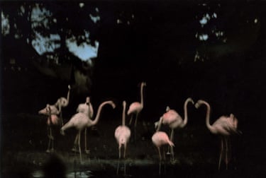 Revists show)Ming Smith’s photographs foreground softness and movement – blurred contours, spectral figures and cityscapes that feel remembered rather than recorded. These are not stylistic effects but deliberate modes of attention. Faces dissolve, bodies merge with their surroundings, and identity remains unresolved, shaped by time, light and lived sensation