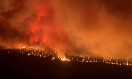 Flames engulf trees near Hostens