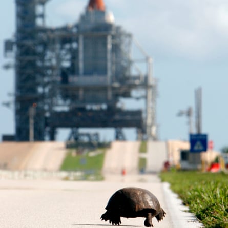 A tortoise inches closer to the space shuttle Discovery at the Kennedy Space Center in 2006.