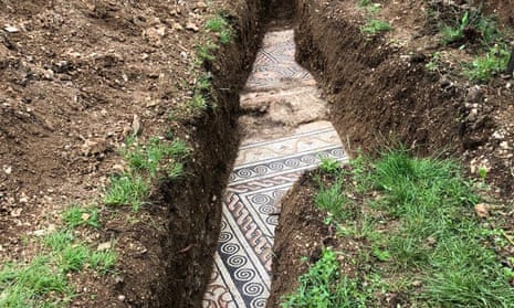 The mosaic was found a few metres beneath a row of vines just a week after work resumed after the coronavirus lockdown. 