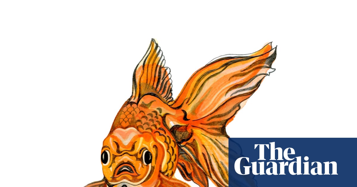 Can fish smell and what does the meme six-seven actually mean? The kids’ quiz