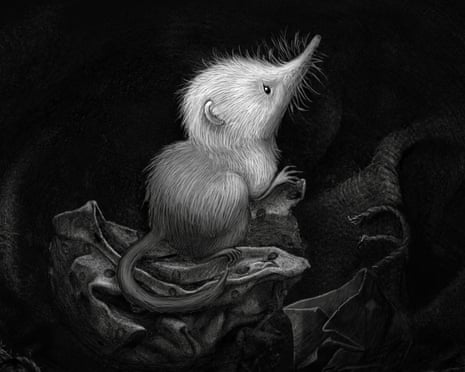 A still from Little Shrew, written and directed by Kate Bush.