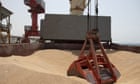 First ship carrying grain from Ukraine docks on Horn of Africa