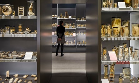 ‘We don’t try to hide the fact that most specimens in the museum probably come from bodies that were dug up for money’ … the redesigned Hunterian Museum.
