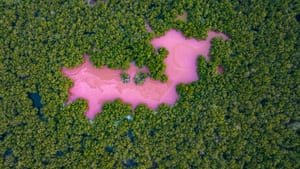 Uma lagoa de mangue rosa vista de cima