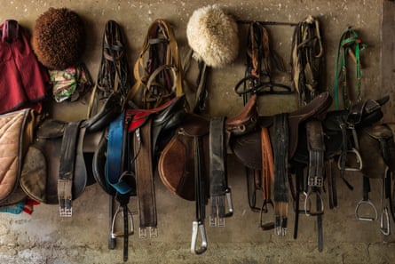 Saddles hanging on a wall