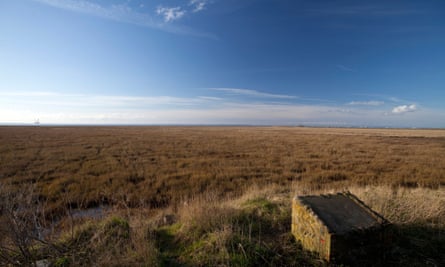 Welwick saltmarsh land in the Humber Estuary