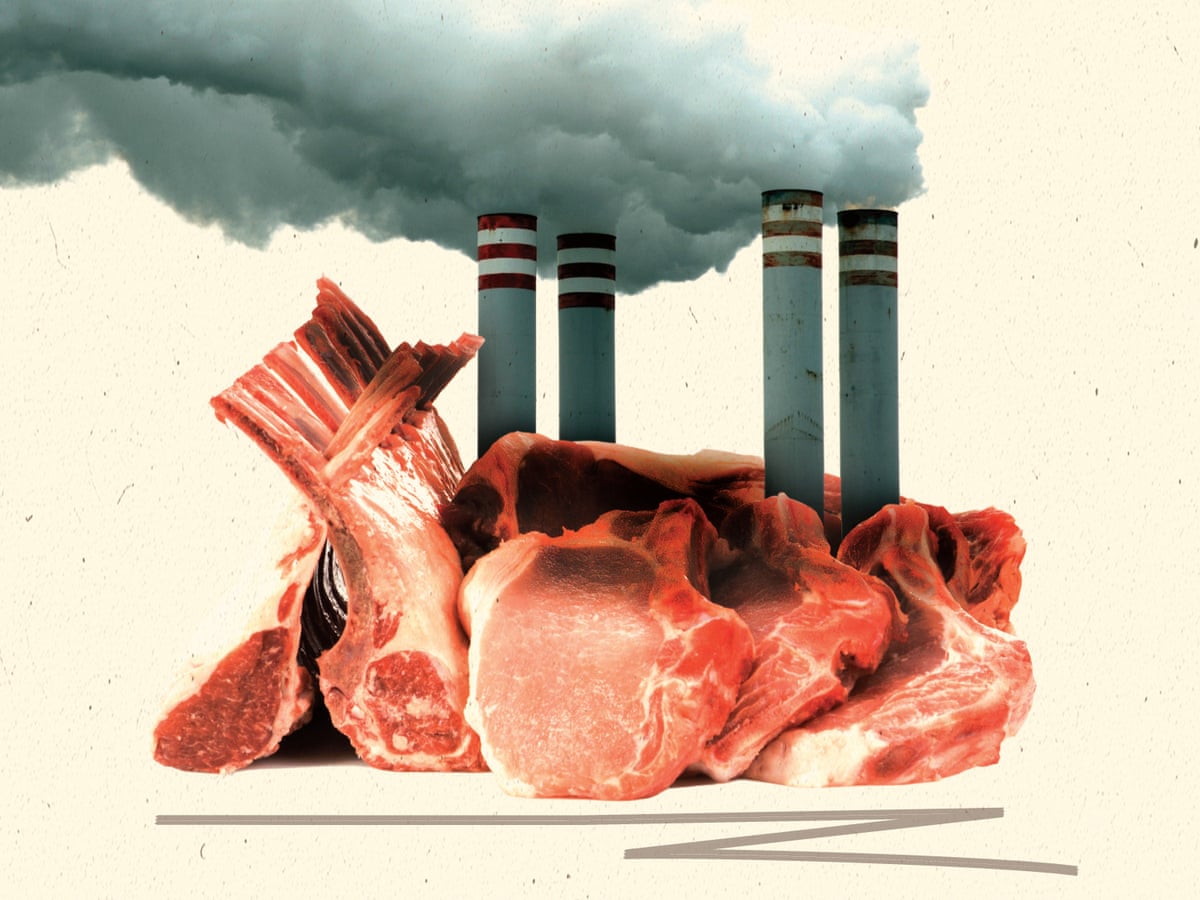 Η διατροφή που προτείνουν 70 κορυφαίοι επιστήμονες/ Εάν εφαρμοζόταν, θα αποφεύγαμε 15 εκατ. θανάτους, και τις μισές εκπομπές αερίων λόγω τροφίμων 15 1920