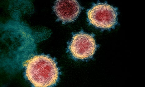 Coronavirus seen through an electron microscope 